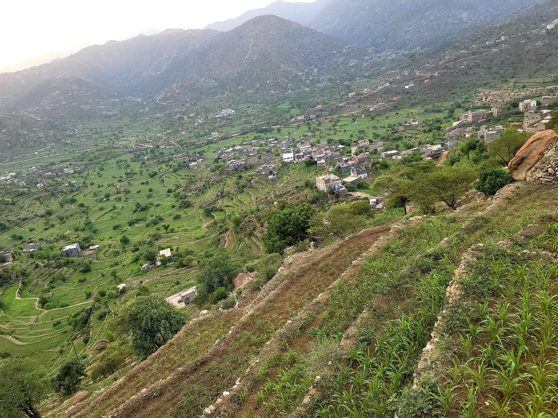وحيث مر الغيم