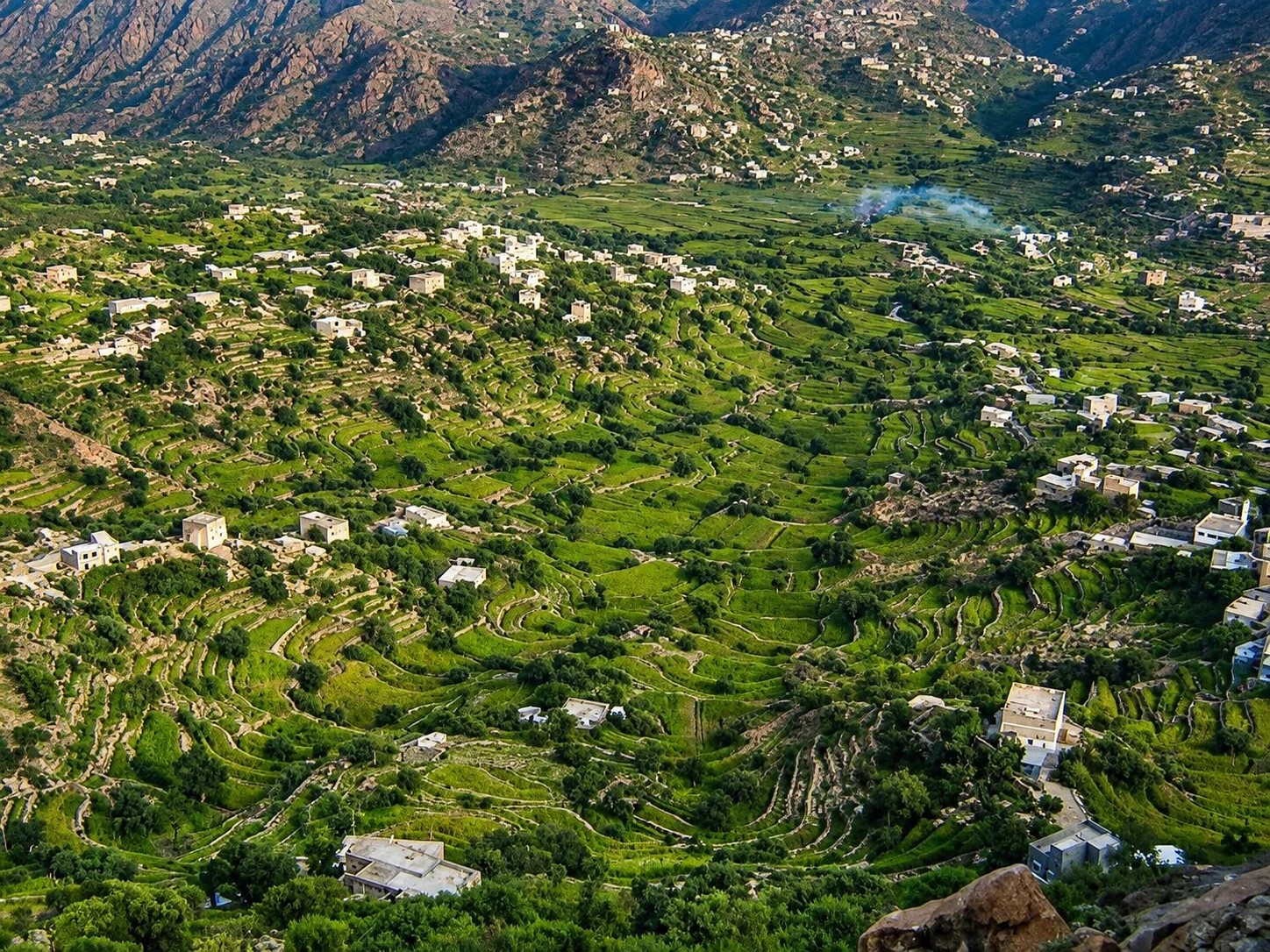 المشاوز